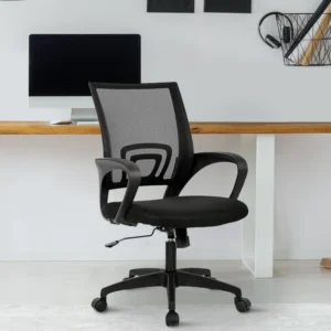 Back Executive Office Chair Adjustable Chair - WeftKart