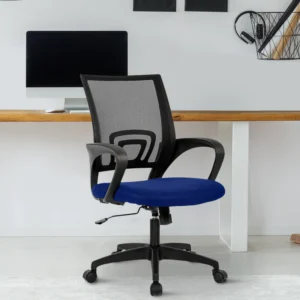 Blue Back Executive Office Chair - WeftKart