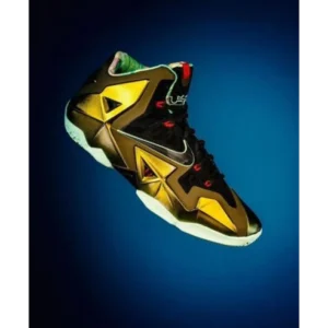 Nike Lebron 11 King Pride 4f Shoes For Men (LL568)