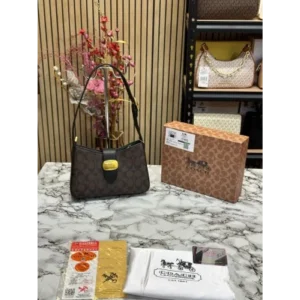 Coach Handbag For Women (SW5359)
