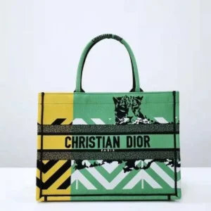 Dior Handbag For Women (SW5366)