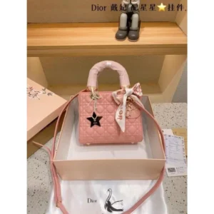 Dior Handbag For Women (CSO1208)