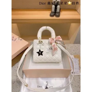 Dior Handbag For Women (CSO1209)