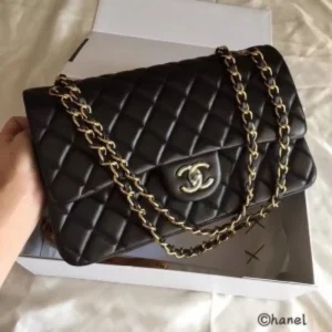 Chanel Handbag For Women (CSO1232)