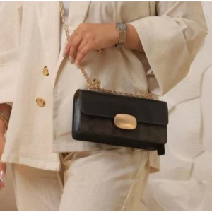 Coach Handbag For Women (CSO1179)