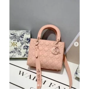 Christian Dior Handbag For Women (SW2199)