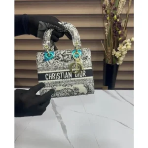 Christian Dior Handbag For Women (SUP1337)