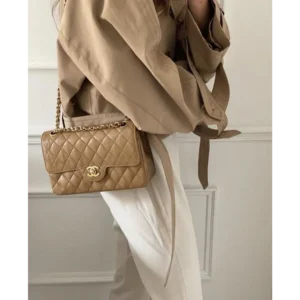Chanel Handbag For Women (FT209)