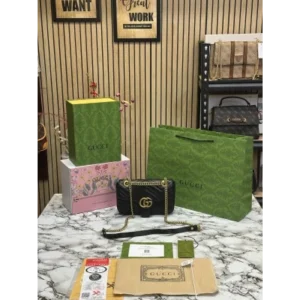 Gucci Handbag For Women (FT225)