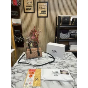 Coach Handbag For Women (FT228)