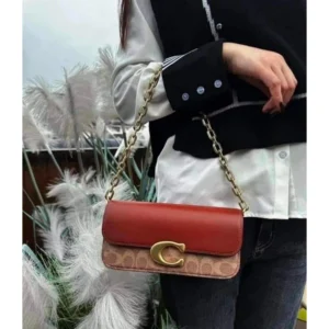 Coach Idol Bag For Women (LAB621)