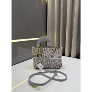 Christion Dior Handbag For Women (LAB689)