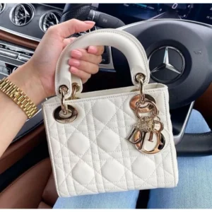 Christian Dior Leather Handbag Matte White With Og Box & Dust Bag For Women (SZ798)