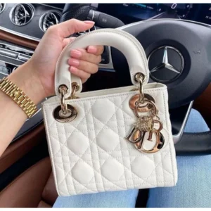 Dior Handbag With Box & Dust Bag For Women (LAB1381)