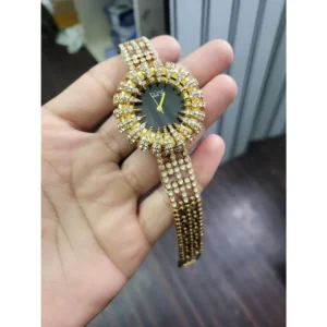 Burgi Watch